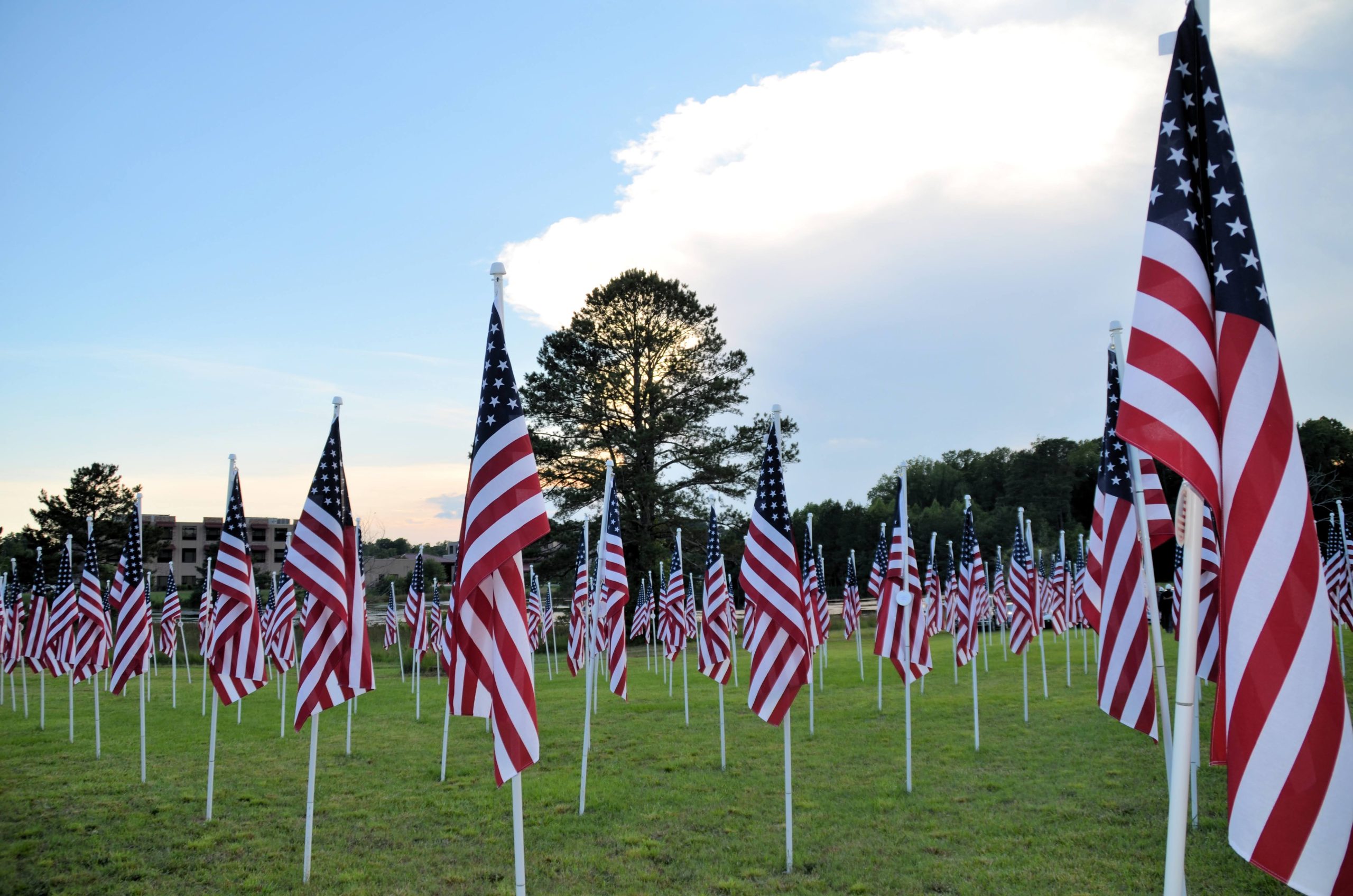 Tribute to Veterans and Flag Day June 14, 2021 (Photo Credit Kristin Brown)