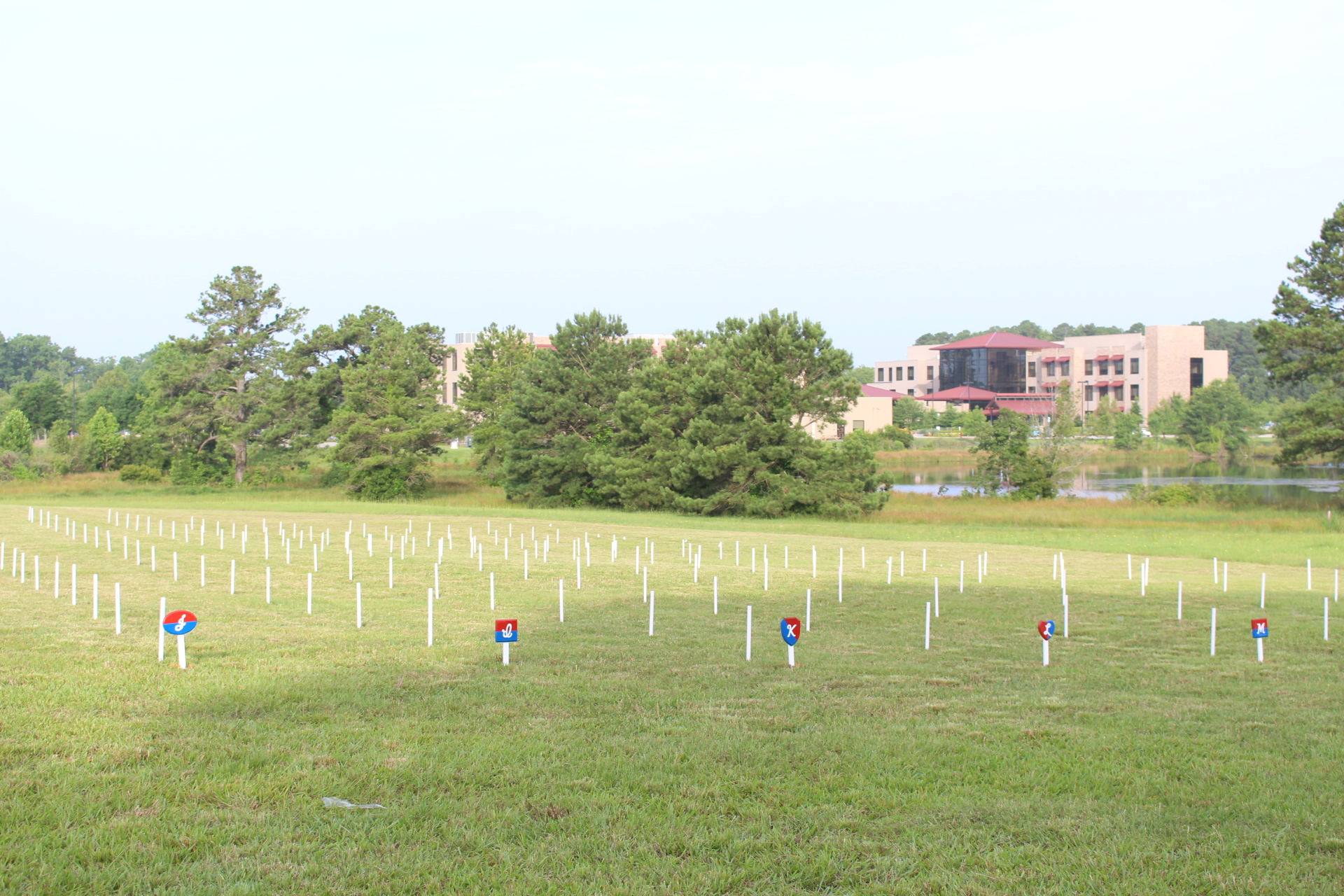 Waiting for flag installation The 2020 Flags For Heroes field is ready for flags